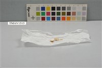 藏品(灰鶺鴒卵)的圖片